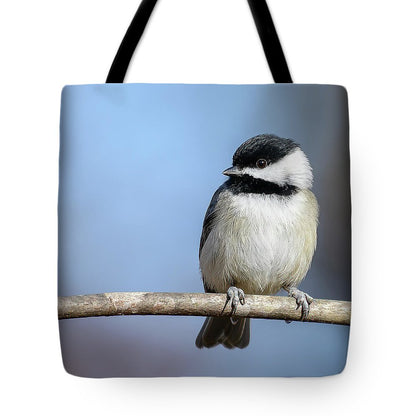 songbird, resting, nature, chickadee, feathers, branch, birds, birding, tote, tote bag, photograph, photography