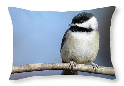 songbird, resting, nature, chickadee, feathers, branch, birds, birding, throw pillow, photograph, photography