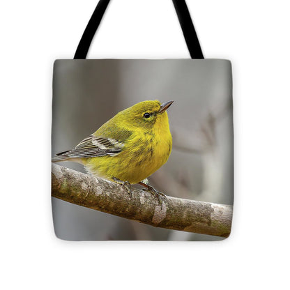 songbird, resting, nature, yellow, pine warbler, feathers, branch, birds, birding, tote, bag, photograph, photography
